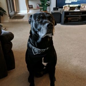 Meet your Posher, Deana